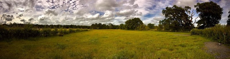 Romsey Paws Park — secure dog field in Romsey