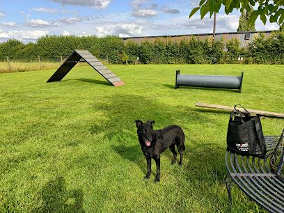 Paddock for paws — secure dog field in Hemel Hempstead