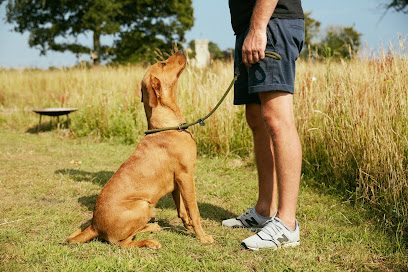 Paw Paddock - Portsdown Hill — secure dog field in Fareham