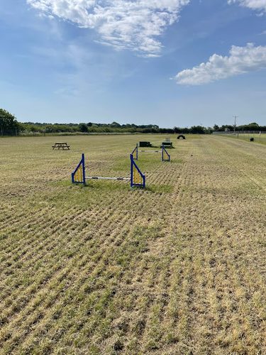Primrose Dog Walking Field; Wragby — secure dog field in Market Rasen