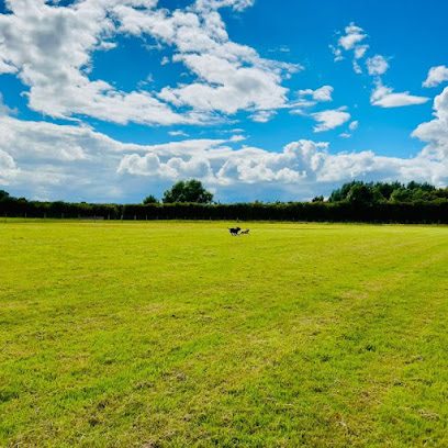 The Dogs Paddocks Haslington — secure dog field in Crewe
