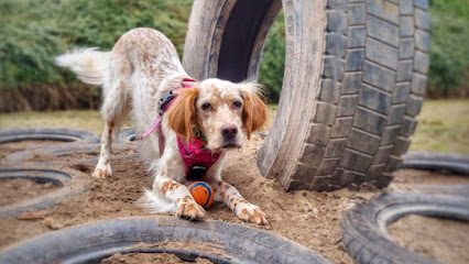 The Dog Park Rainhill — secure dog field in Prescot