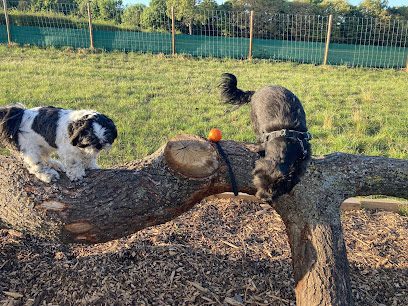 Cheshire View Dog Park — secure dog field in Chester