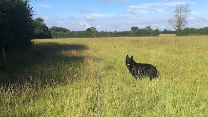 Burbage Secure Dog Walking Field — secure dog field in Leicester