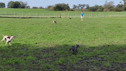 Goosnargh Dog Field — secure dog field in Preston