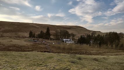 Dodside Dogruns — secure dog field in Glasgow