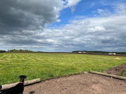 OutPaw Pursuits — secure dog field in Trimdon Station