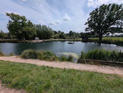 Unleashed at Wrenbury Hall Woods — secure dog field in Nantwich