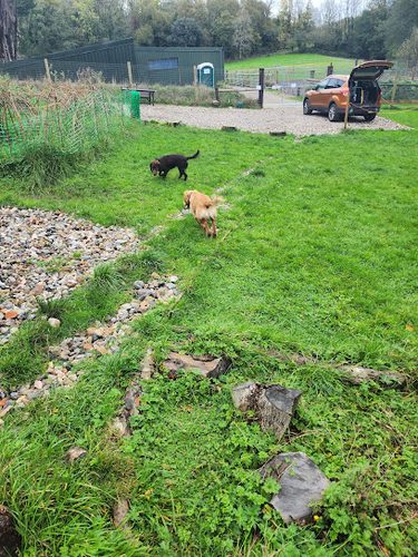 PawPrints Hazelmere Farm — secure dog field in Ivybridge