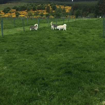 Purity Paws Pooch Park — secure dog field in Huntly