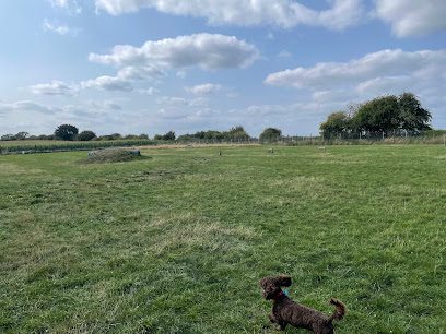 Maddy’s Mutts — secure dog field in buildings