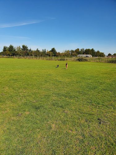 Foxham Dog Field — secure dog field in Chippenham