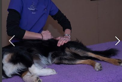 Durham Dogs at Moor House Farm — secure dog field in Peterlee