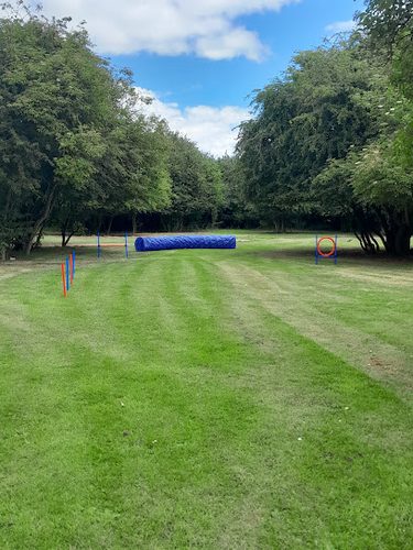 little halstead hounds — secure dog field in Maidstone