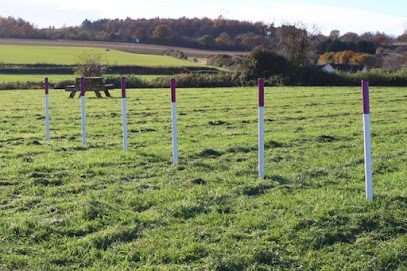 Paws In The Fields — secure dog field in Salisbury