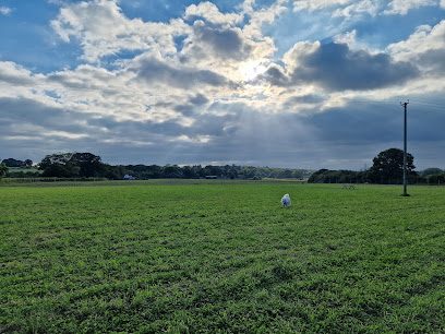 Paw Paddock - Romsey — secure dog field in Romsey