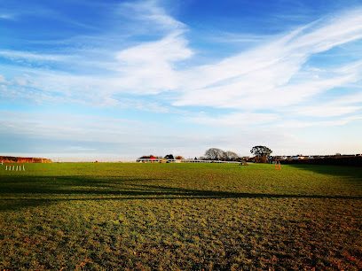 Safe Hounds Dog Park — secure dog field in Torrington