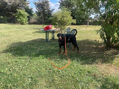 Well Dog Field — secure dog field in Grays