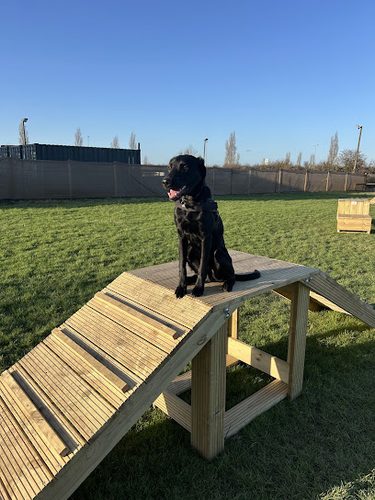 Rupert's Ruff Run — secure dog field in Canvey Island