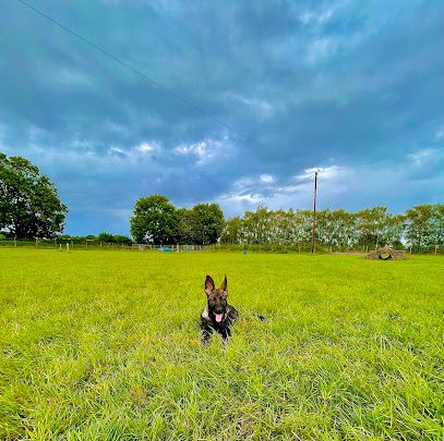 Coton Secure Dog Walking — secure dog field in Cambridge