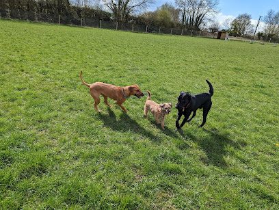 Pips paddocks — secure dog field in Derby
