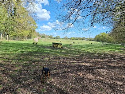 Zoomies4Paws — secure dog field in Warminster