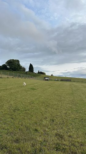 Holme Meadow Bishops Offley — secure dog field in Stafford