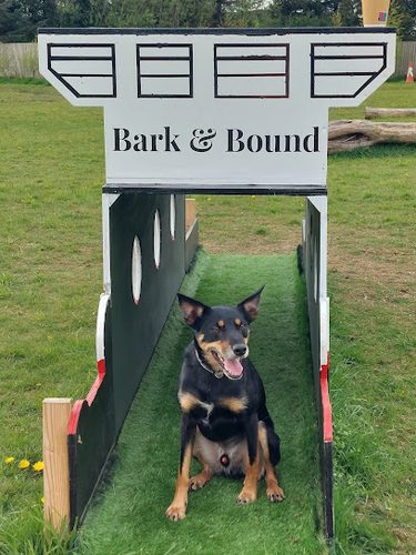 Bark & Bound — secure dog field in Mauchline