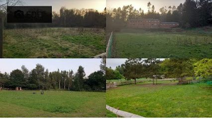 Prestwood Doggy Play Park — secure dog field in Stourbridge