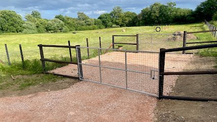 K9 paws and play dog field — secure dog field in Newton Abbot