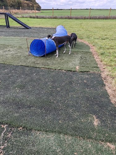 North Bridlington Dog Field — secure dog field in Bridlington