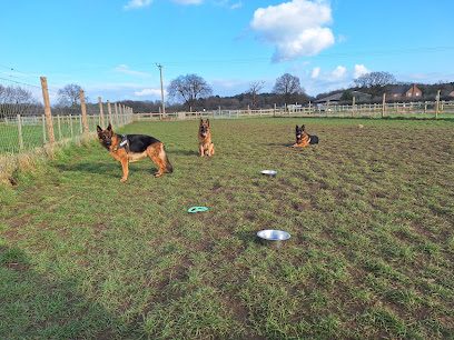 Branton Dog Field — secure dog field in Doncaster