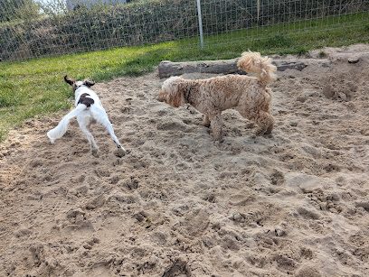 Freckenham Secure Dog Field — secure dog field in Bury Saint Edmunds