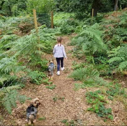 Woodland Walkies — secure dog field in Marlborough