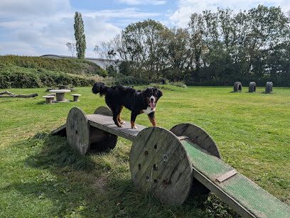 The Dog Paddock at Foston — secure dog field in Derby