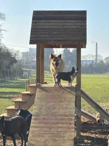 Grow Walkies - Graveley — secure dog field in Hitchin