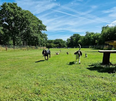 Southwell Secure Dog Field — secure dog field in Newark