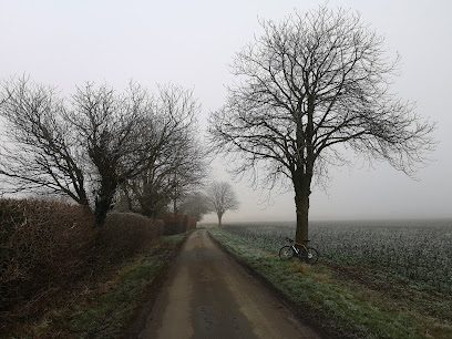 Glanwin Meadow — secure dog field in Buckingham
