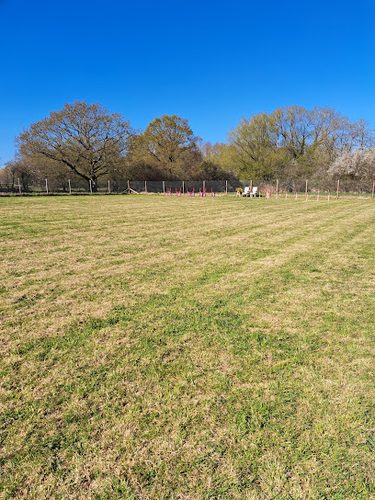 The Field-Ollerton. — secure dog field in Knutsford