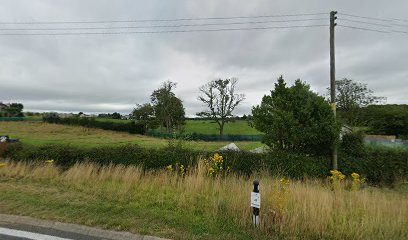 windsor cottage — secure dog field in Carrutherstown