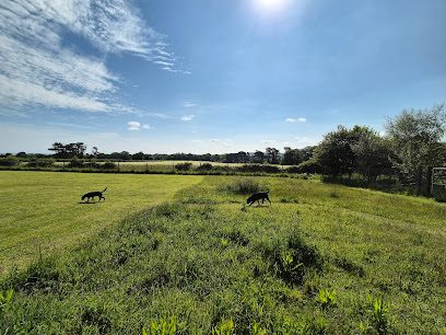 Seaview Dog Meadow — secure dog field in Holt