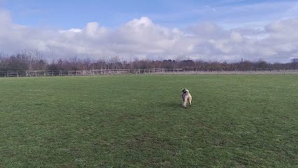 Rainbow's End Farm - Stanwick — secure dog field in Wellingborough