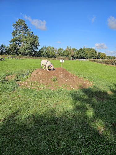 Exeter Dog Field — secure dog field in Exeter