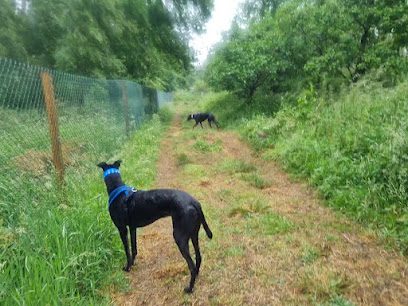 Run Free Dog Fields - Broxburn — secure dog field in Broxburn