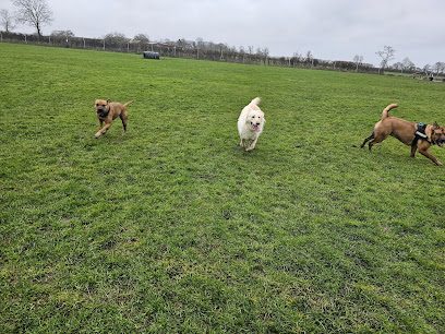 Highfields Hounds — secure dog field in Southam