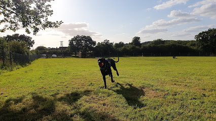 Hagley Park Secure Dog Field — secure dog field in Stourbridge