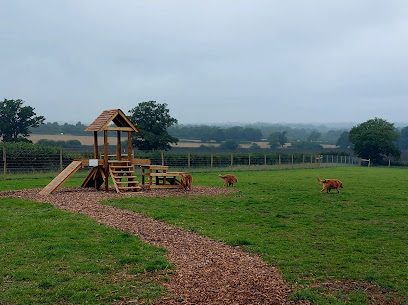 Grow Walkies - North London — secure dog field in Barnet