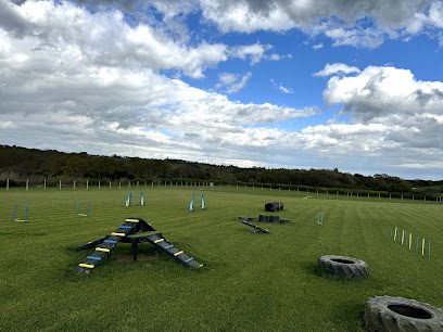 Inca's Field — secure dog field in Hastings