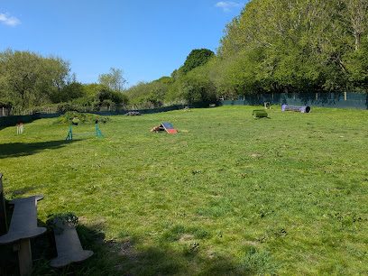 Pawsome Fun Paddock — secure dog field in Crewkerne