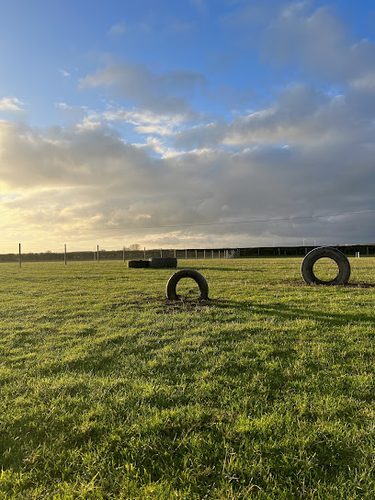 SecurePups North Muskham Secure Dog Field — secure dog field in Newark
